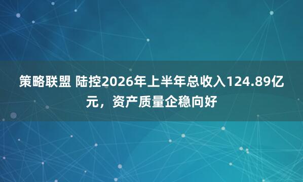 策略联盟 陆控2026年上半年总收入124.89亿元，资产质量企稳向好